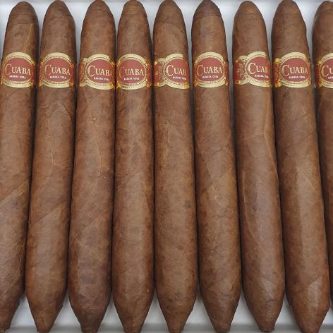 Lot 103 - Cuaba Salomones