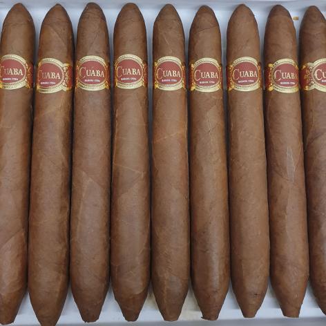 Lot 104 - Cuaba Salomones
