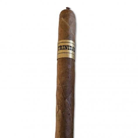 Lot 10 - Trinidad Fundadores 