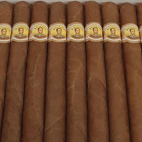 Lot 10 - Bolivar Lonsdales