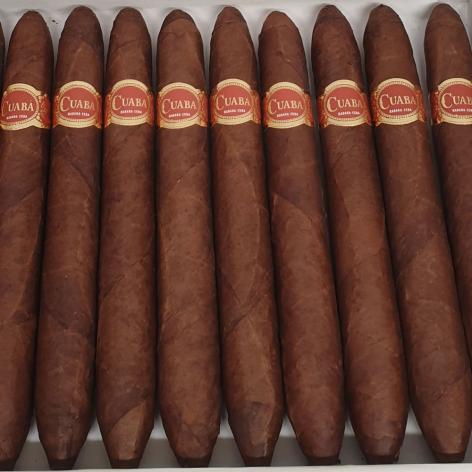 Lot 115 - Cuaba Salomones