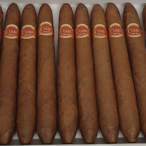 Lot 116 - Cuaba Salomones