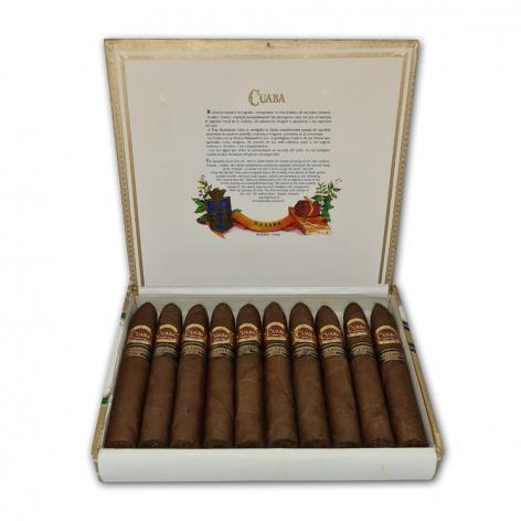 Lot 124 - Cuaba Piramides 