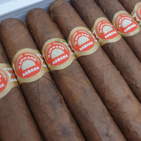 Lot 125 - H. Upmann Majestics 