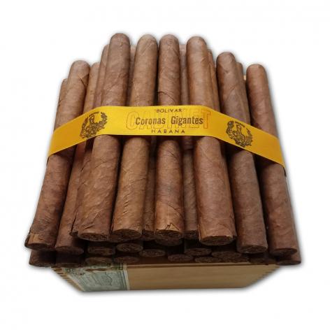 Lot 130 - Bolivar Coronas Gigantes