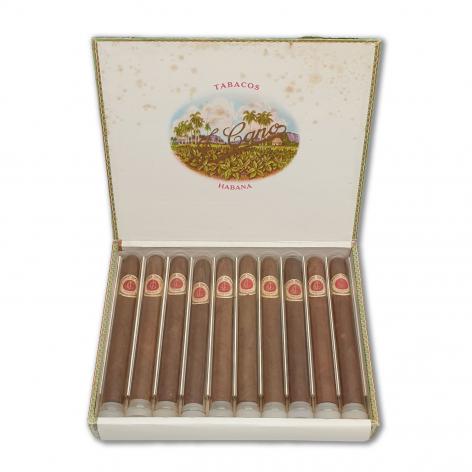 Lot 13 - La Flor de Cano Cristales 