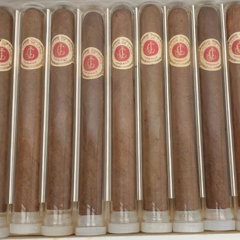 Lot 13 - La Flor de Cano Cristales 
