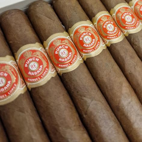 Lot 13 - Punch Coronas