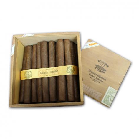 Lot 14 - Bolivar Coronas Gigantes