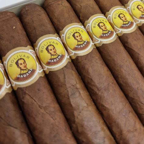 Lot 15 - Bolivar Coronas extra