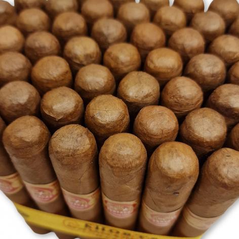 Lot 167 - Partagas Shorts