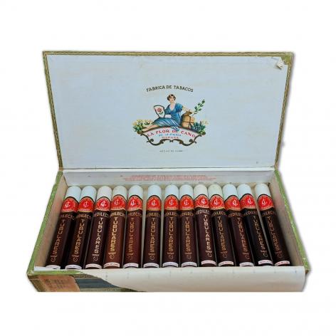 Lot 168 - La Flor de Cano Predilectos Tubulares