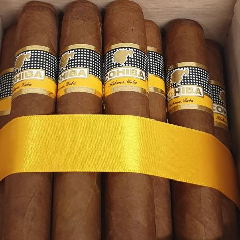 Lot 16 - Cohiba Robustos
