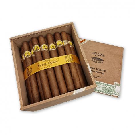 Lot 16 - Bolivar Coronas Gigantes
