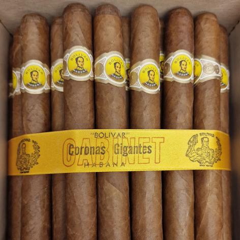 Lot 16 - Bolivar Coronas Gigantes