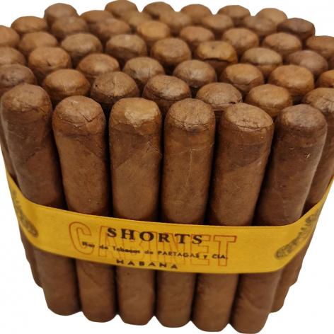 Lot 171 - Partagas Shorts