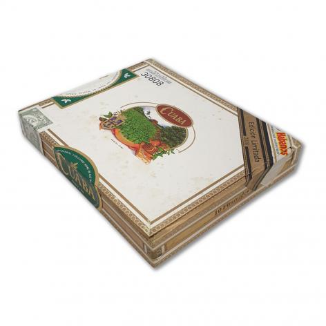 Lot 172 - Cuaba Piramides 