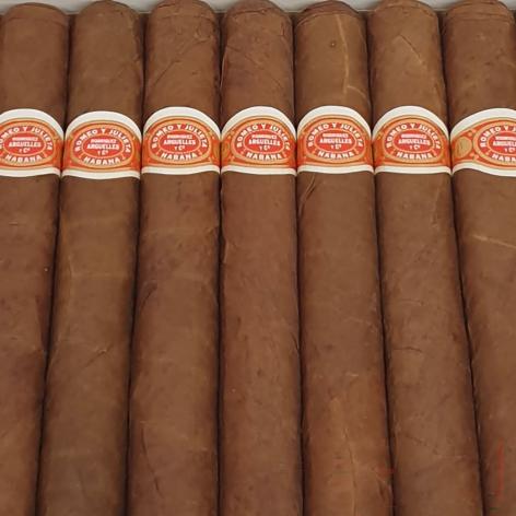 Lot 173 - Romeo y Julieta Coronas