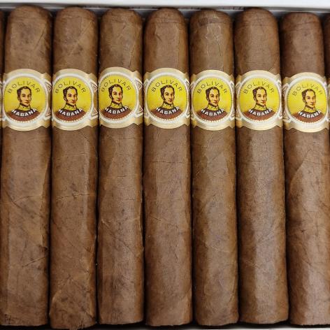 Lot 17 - Bolivar Coronas Junior
