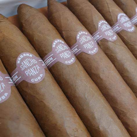 Lot 181 - Sancho Panza Belicosos 