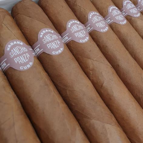 Lot 182 - Sancho Panza Coronas Gigantes