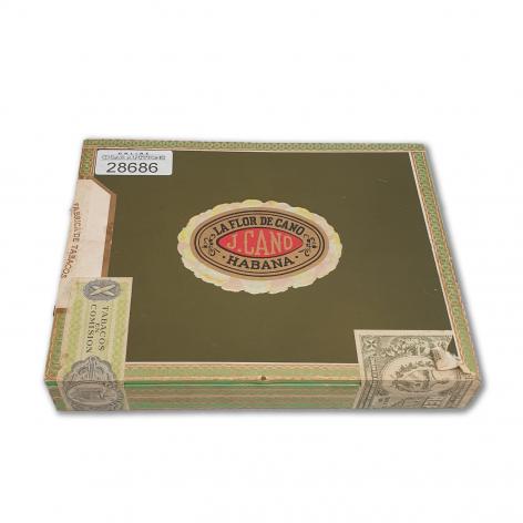 Lot 18 - La Flor de Cano Cristales 