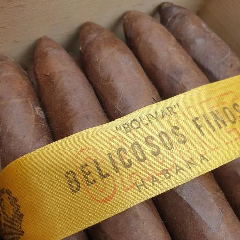 Lot 18 - Bolivar Belicosos Finos