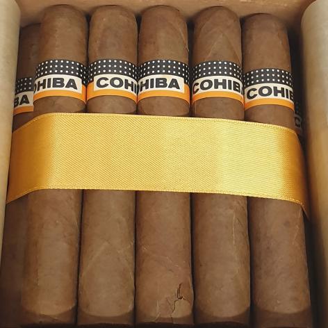 Lot 18 - Cohiba Robustos