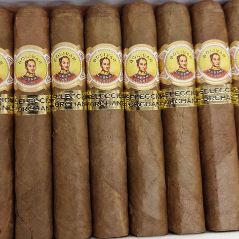 Lot 18 - Bolivar Royal coronas