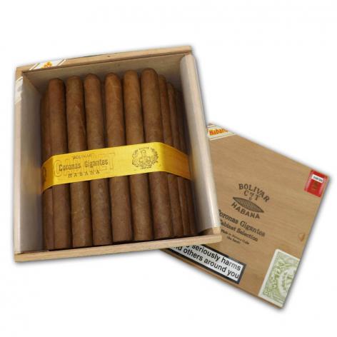 Lot 18 - Bolivar Coronas Gigantes