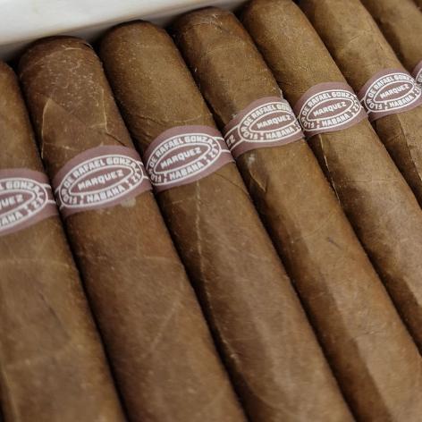 Lot 193 - Rafale Gonzalez Tres Petit Lonsdales