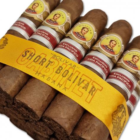 Lot 197 - Bolivar Short Bolivar