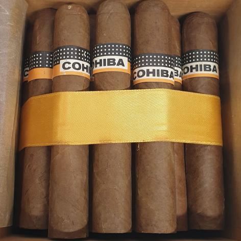Lot 19 - Cohiba Robustos