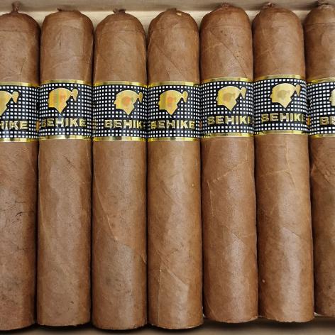 Lot 19 - Cohiba Behike 52