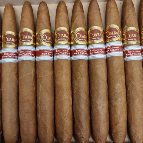 Lot 200 - Cuaba APAC