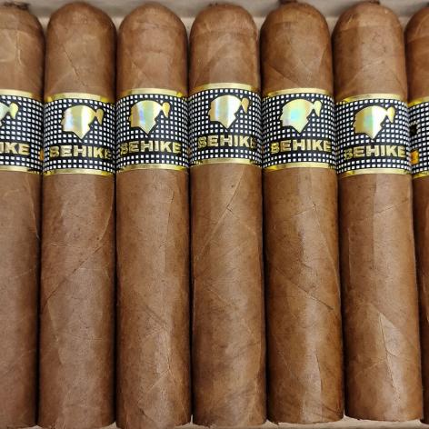 Lot 20 - Cohiba Behike 52
