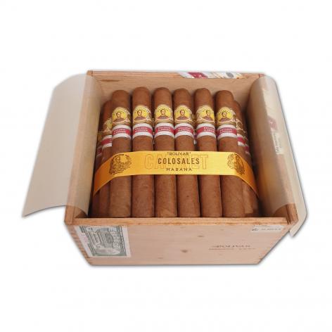 Lot 211 - Bolivar Colosales 