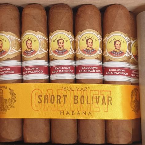 Lot 213 - Bolivar Short Bolivar
