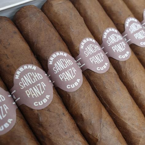 Lot 217 - Sancho Panza Bachilleres