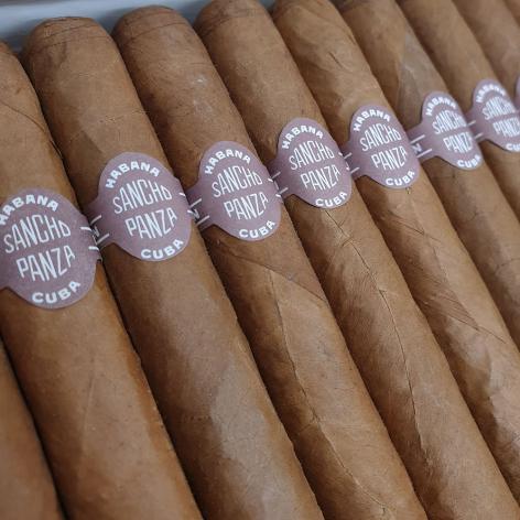 Lot 219 - Sancho Panza Molinos 