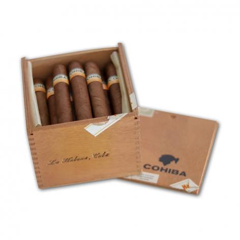 Lot 21 - Cohiba Robusto