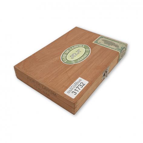 Lot 21 - Flor de Lancha Coronas 