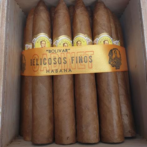 Lot 21 - Bolivar Belicosos Finos