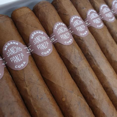 Lot 220 - Sancho Panza Non Plus