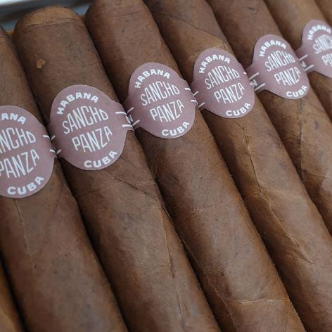 Lot 221 - Sancho Panza Non Plus