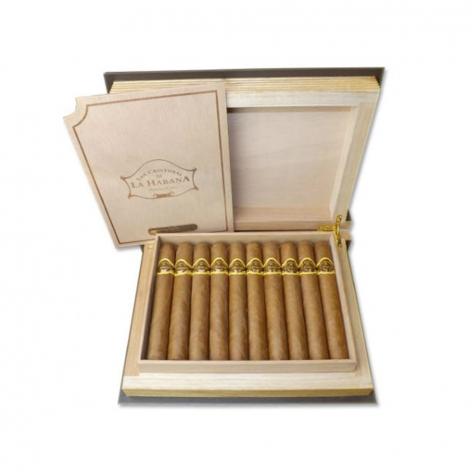 Lot 221 - San Cristobal  O'Reilly