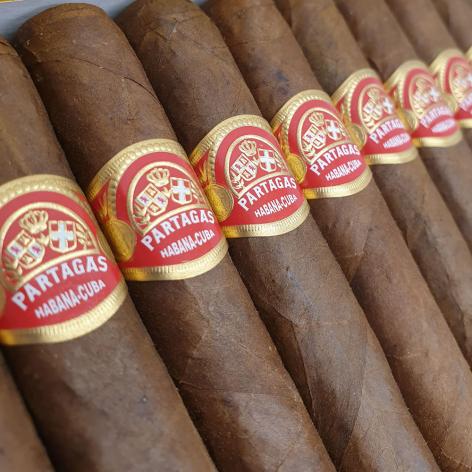 Lot 226 - Partagas Shorts 