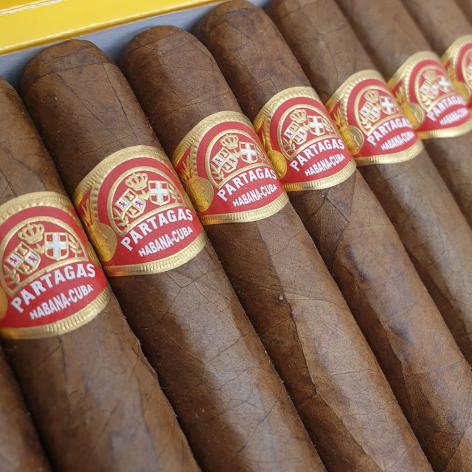 Lot 227 - Partagas Shorts 