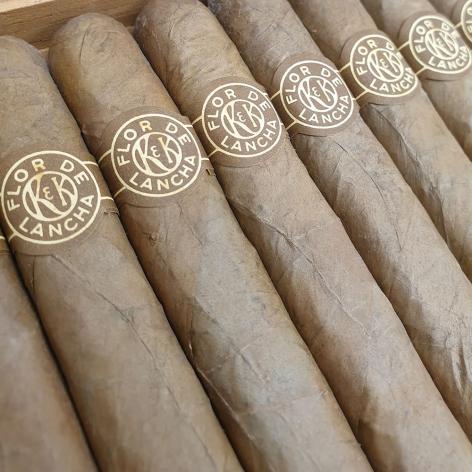 Lot 22 - Flor de Lancha Coronas 