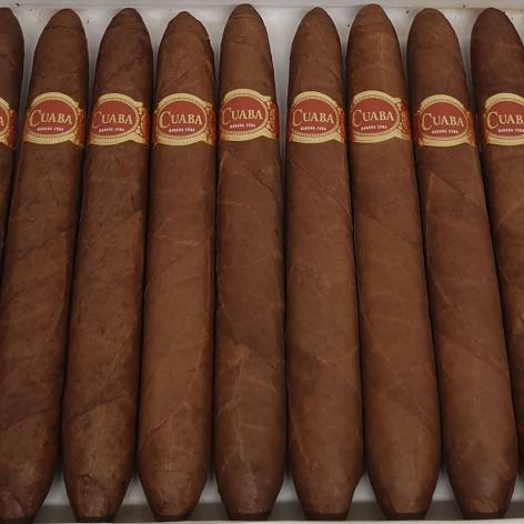 Lot 22 - Cuaba Salomones